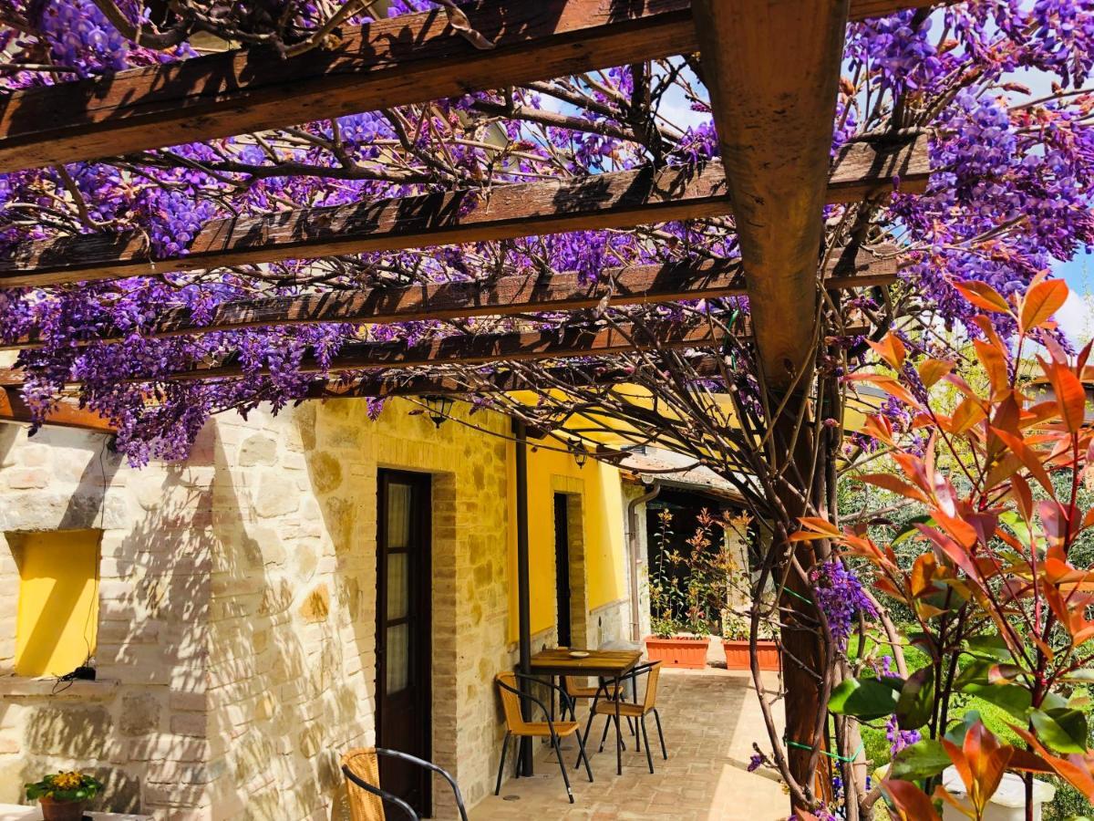 Il Cortile Delle Rose Holiday House Perúgia Exterior foto